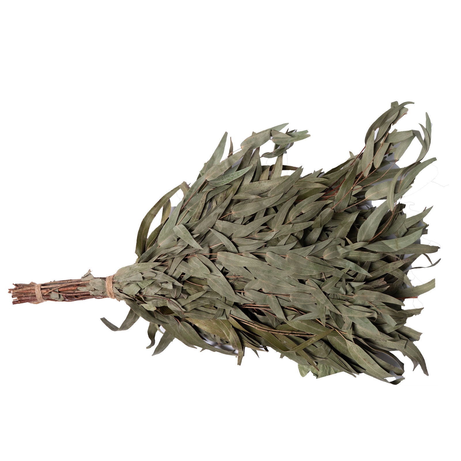 Sauna Whisk